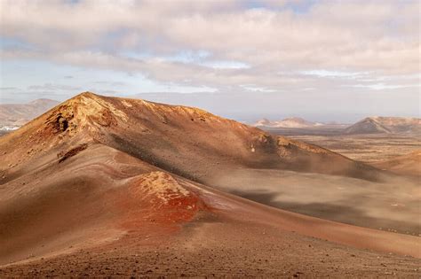 Volcanoes, Vines, Freedom: Exploring Gay